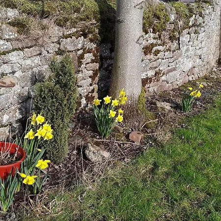 Casa de Campo Holmehead Brampton (Cumbria)